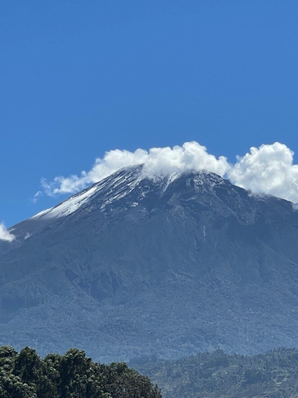 Mount Meru forest