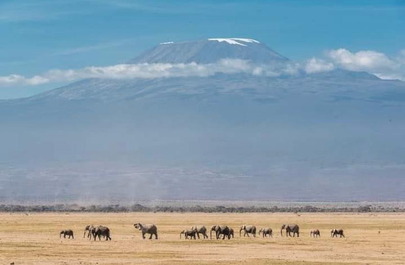 Mount Kilimanjaro