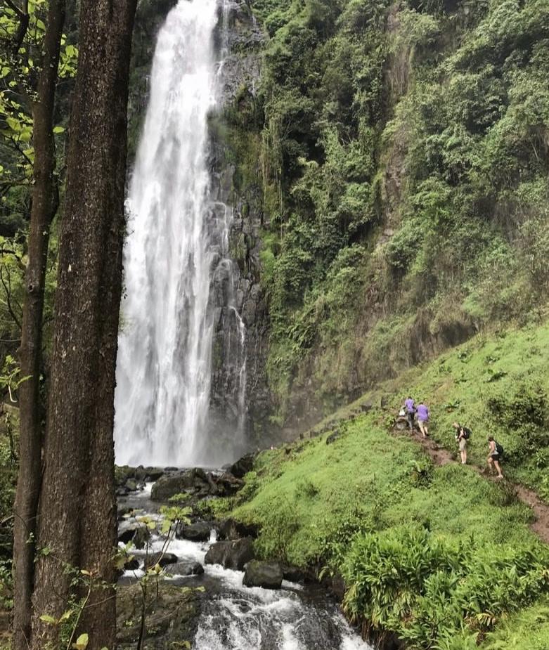 Northern Circuit-rutten